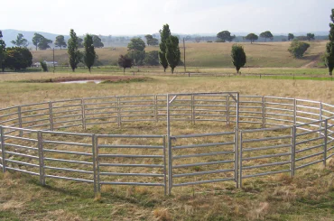 Horse Round Yard