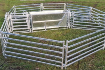 Sheep Yard System Designs